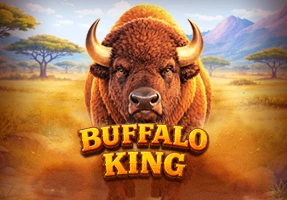 Buffalo King
