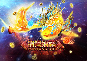 锦鲤纳福