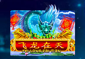 飞龙在天