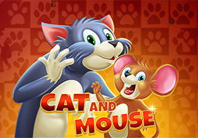 Cat and Mouse
