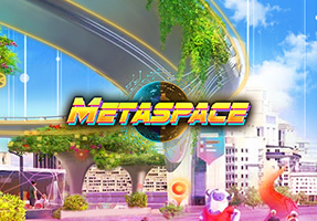 MetaSpace