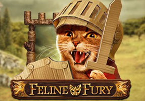 Feline Fury