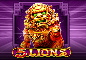 5 LIONS