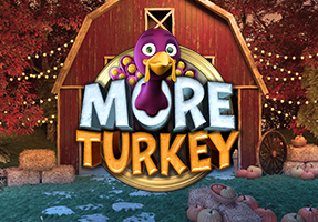 More Turkey