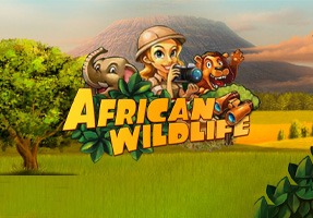 African Wildlife