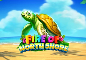 Fire of North Shore