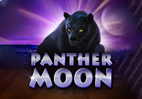Panther Moon